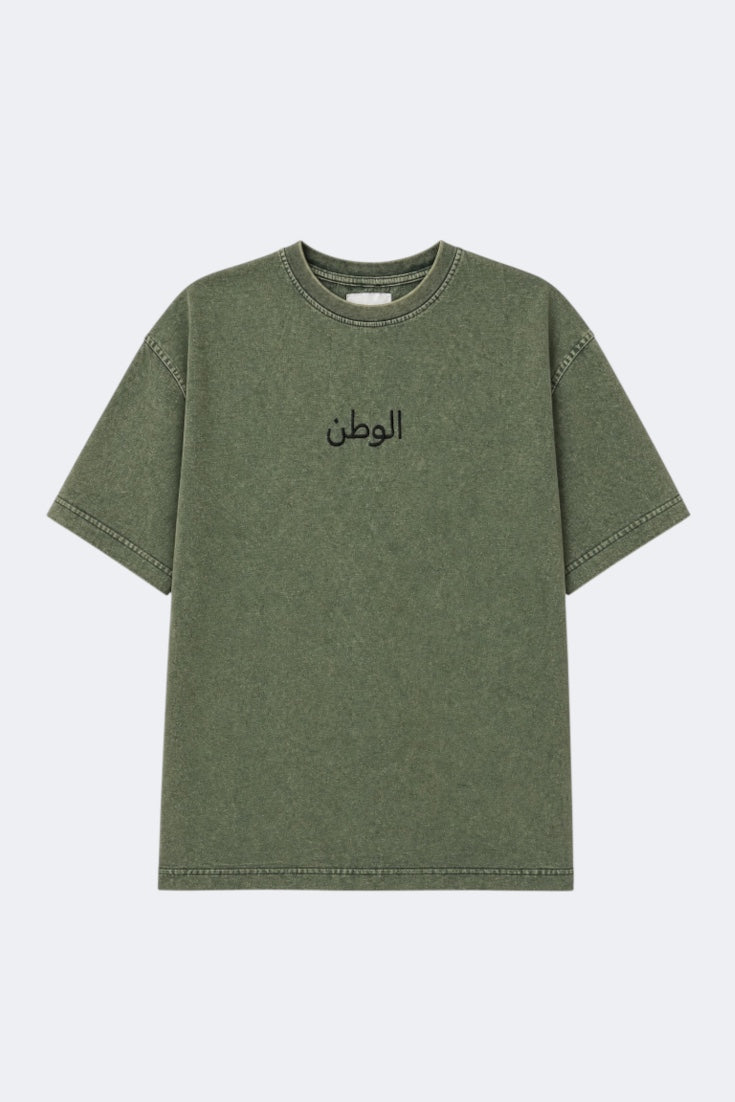 Acid Wash Tee in Green